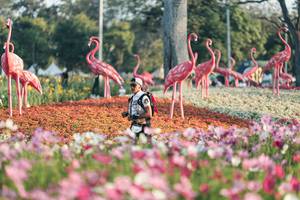 BIB: 
                            <button type="button" onclick="openModal(27344126)" class="btn btn-primary btn-sm float-right btn-popup" data-toggle="modal" data-target=".modal-high-quality">
                        <i class="fas fa-shopping-cart"></i> Add to Cart
                    </button>
                                            <button type="button" onclick="isThisMe(27344126, true)" class="btn btn-success btn-sm float-right btn-popup btn-isme hidden" data-toggle="tooltip" data-placement="bottom" title="นี่คือรูปของคุณใช่ไหม คลิกที่นี่เพื่อเอาเข้าอัลบั้ม">
                        <i class="fas fa-plus"></i> Add to album
                    </button>
                    <button type="button" onclick="isThisMe(27344126, false)" class="btn btn-warning btn-sm float-right btn-popup btn-isnotme hidden">
                        <i class="fas fa-ban"></i> Remove from album
                    </button>